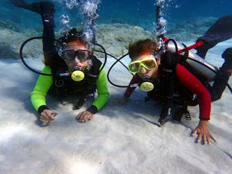 Cyprus Scuba Diving West Coast